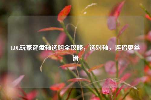 LOL玩家键盘轴选购全攻略，选对轴，连招更丝滑
