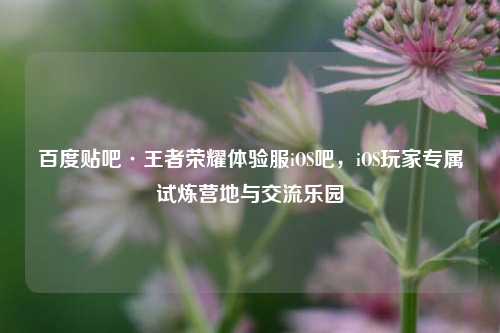 百度贴吧·王者荣耀体验服iOS吧,iOS玩家专属试炼营地与交流乐园