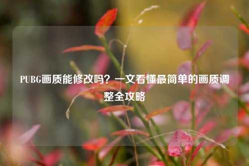 PUBG画质能修改吗？一文看懂最简单的画质调整全攻略