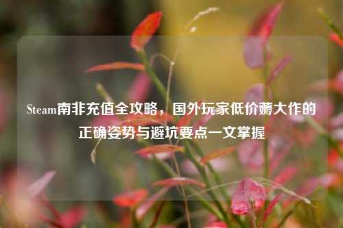 Steam南非充值全攻略,国外玩家低价薅大作的正确姿势与避坑要点一文掌握