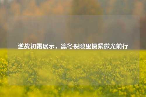 逆战初霜展示，凛冬裂隙里攥紧微光前行