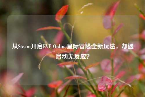 从Steam开启EVE Online星际冒险全新玩法，却遇启动无反应？