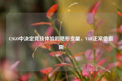 CSGO中决定竞技体验的隐形变量，VAR正常值指南