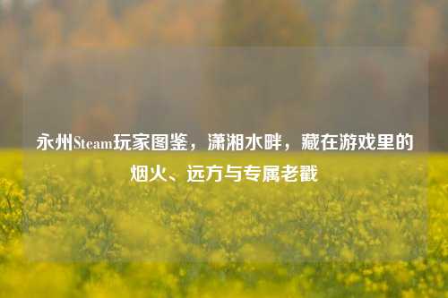 永州Steam玩家图鉴，潇湘水畔，藏在游戏里的烟火、远方与专属老戳