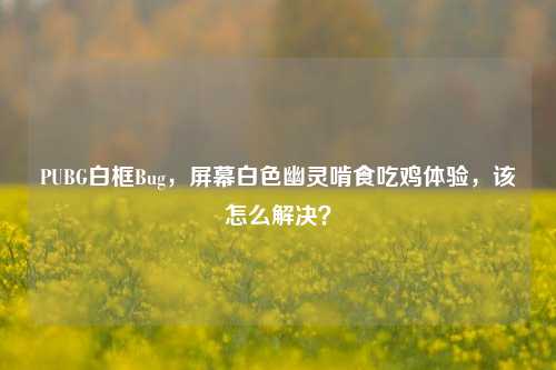 PUBG白框Bug，屏幕白色幽灵啃食吃鸡体验，该怎么解决？