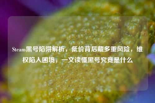 Steam黑号陷阱解析，低价背后藏多重风险，维权陷入困境，一文读懂黑号究竟是什么