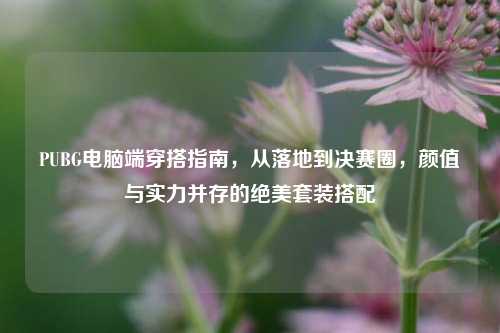 PUBG电脑端穿搭指南，从落地到决赛圈，颜值与实力并存的绝美套装搭配