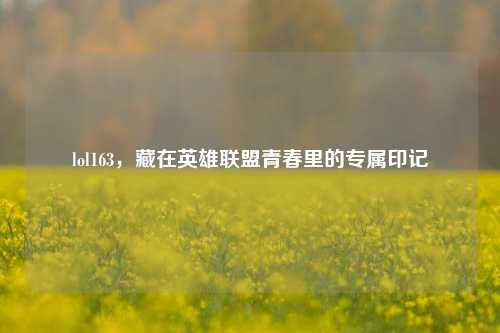 lol163,藏在英雄联盟青春里的专属印记