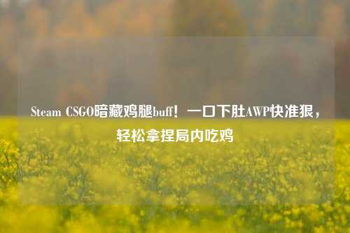 Steam CSGO暗藏鸡腿buff！一口下肚AWP快准狠，轻松拿捏局内吃鸡