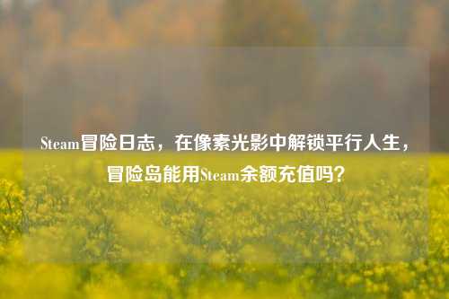 Steam冒险日志,在像素光影中解锁平行人生,冒险岛能用Steam余额充值吗?