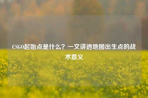 CSGO起始点是什么？一文讲透地图出生点的战术意义