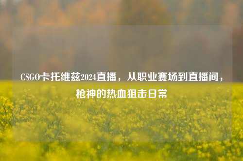 CSGO卡托维兹2024直播,从职业赛场到直播间,枪神的热血狙击日常