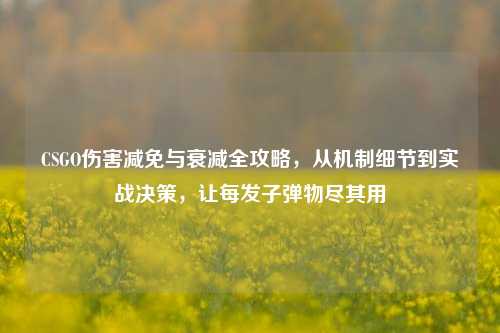 CSGO伤害减免与衰减全攻略，从机制细节到实战决策，让每发子弹物尽其用