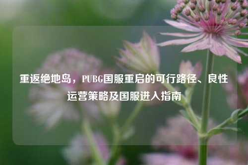 重返绝地岛，PUBG国服重启的可行路径、良性运营策略及国服进入指南