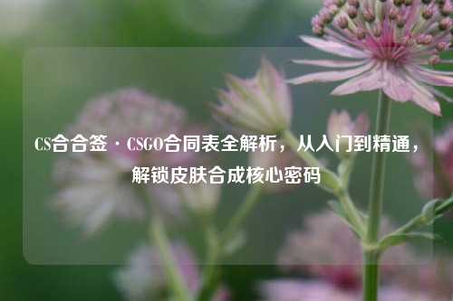 CS合合签·CSGO合同表全解析，从入门到精通，解锁皮肤合成核心密码