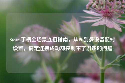Steam手柄全场景连接指南,从PC到多设备配对设置,搞定连接成功却控制不了游戏的问题