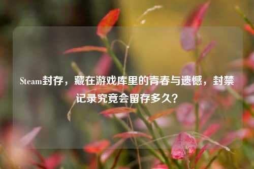 Steam封存，藏在游戏库里的青春与遗憾，封禁记录究竟会留存多久？