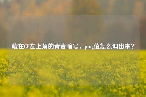 藏在CF左上角的青春暗号，ping值怎么调出来？