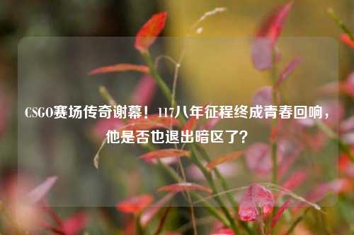 CSGO赛场传奇谢幕!117八年征程终成青春回响,他是否也退出暗区了?