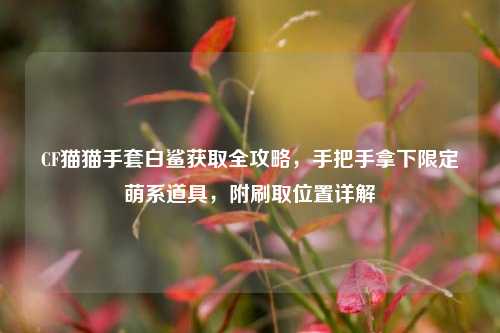 CF猫猫手套白鲨获取全攻略，手把手拿下限定萌系道具，附刷取位置详解