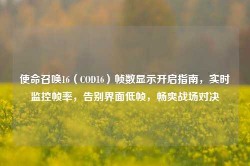 使命召唤16（COD16）帧数显示开启指南，实时监控帧率，告别界面低帧，畅爽战场对决