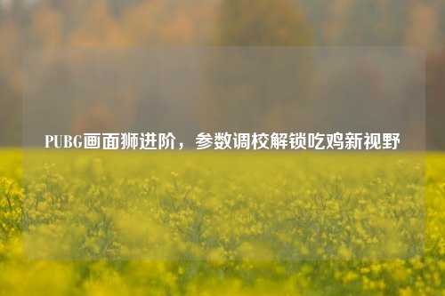 PUBG画面狮进阶，参数调校解锁吃鸡新视野