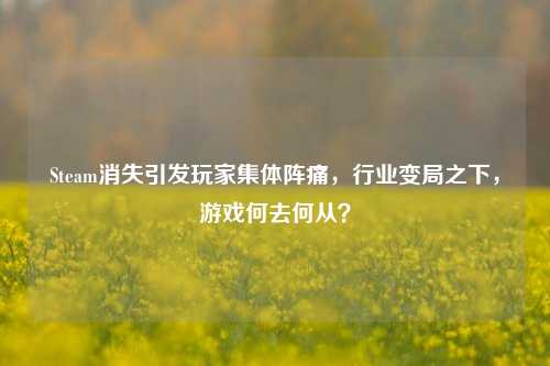 Steam消失引发玩家集体阵痛,行业变局之下,游戏何去何从?