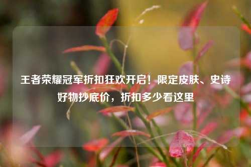 王者荣耀冠军折扣狂欢开启！限定皮肤、史诗好物抄底价，折扣多少看这里