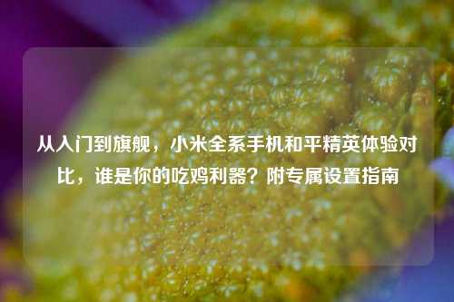 从入门到旗舰，小米全系手机和平精英体验对比，谁是你的吃鸡利器？附专属设置指南