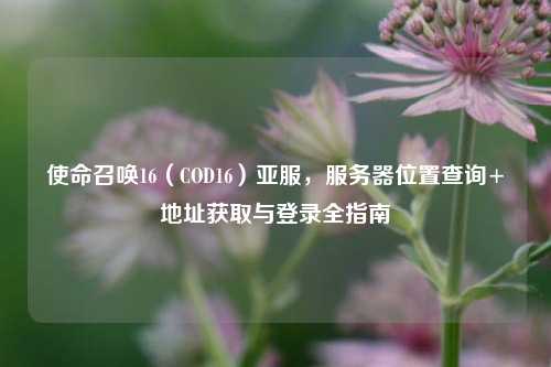 使命召唤16(COD16)亚服,服务器位置查询+地址获取与登录全指南