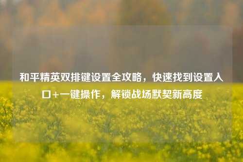 和平精英双排键设置全攻略，快速找到设置入口+一键操作，解锁战场默契新高度