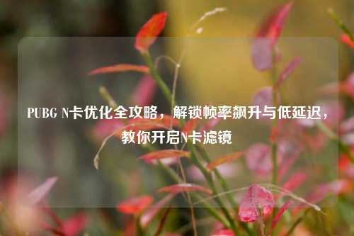 PUBG N卡优化全攻略，解锁帧率飙升与低延迟，教你开启N卡滤镜