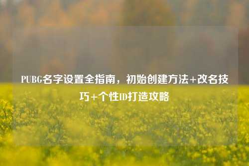 PUBG名字设置全指南,初始创建方法+改名技巧+个性ID打造攻略