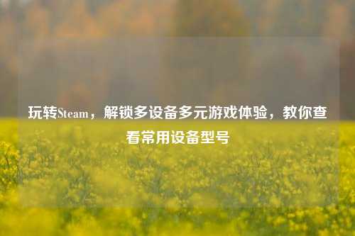 玩转Steam，解锁多设备多元游戏体验，教你查看常用设备型号