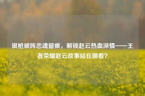 银枪破阵忠魂留痕，解锁赵云热血深情——王者荣耀赵云故事站在哪看？