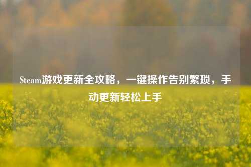 Steam游戏更新全攻略，一键操作告别繁琐，手动更新轻松上手