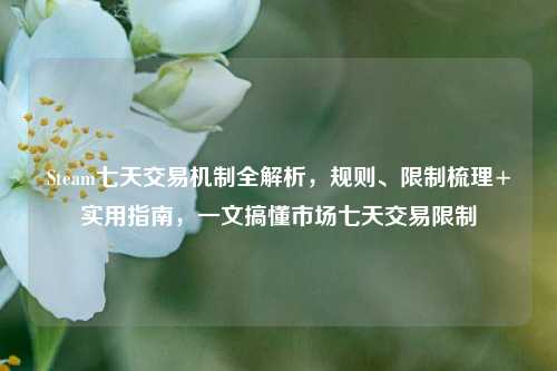 Steam七天交易机制全解析，规则、限制梳理+实用指南，一文搞懂市场七天交易限制