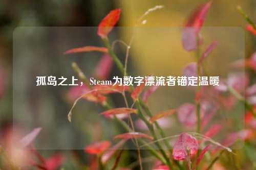孤岛之上，Steam为数字漂流者锚定温暖