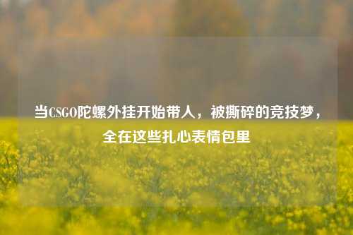 当CSGO陀螺外挂开始带人，被撕碎的竞技梦，全在这些扎心表情包里