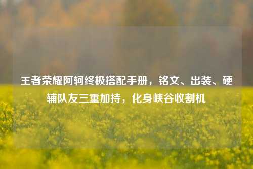 王者荣耀阿轲终极搭配手册，铭文、出装、硬辅队友三重加持，化身峡谷收割机