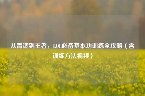 从青铜到王者,LOL必备基本功训练全攻略(含训练方法视频)