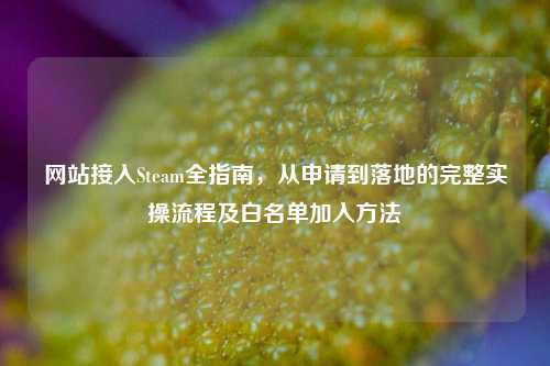 网站接入Steam全指南，从申请到落地的完整实操流程及白名单加入方法