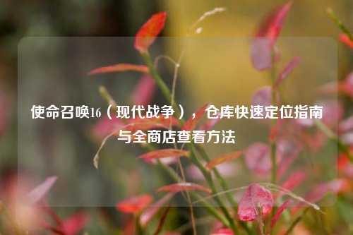 使命召唤16（现代战争），仓库快速定位指南与全商店查看方法