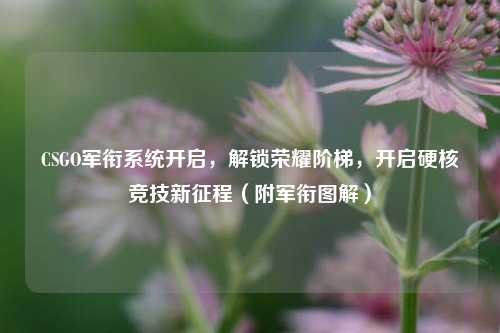 CSGO军衔系统开启，解锁荣耀阶梯，开启硬核竞技新征程（附军衔图解）