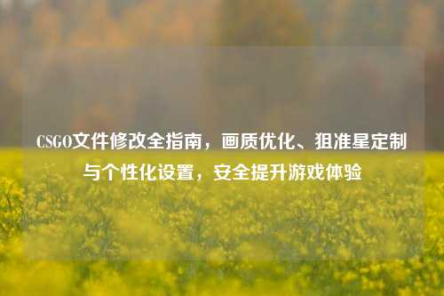CSGO文件修改全指南，画质优化、狙准星定制与个性化设置，安全提升游戏体验