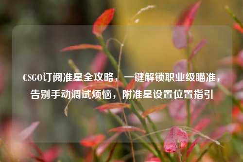 CSGO订阅准星全攻略,一键解锁职业级瞄准,告别手动调试烦恼,附准星设置位置指引