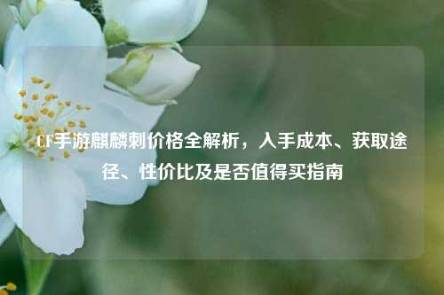 CF手游麒麟刺价格全解析，入手成本、获取途径、性价比及是否值得买指南