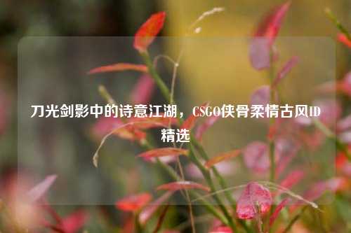 刀光剑影中的诗意江湖，CSGO侠骨柔情古风ID精选