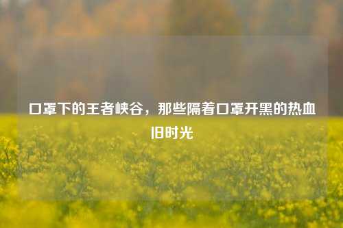 口罩下的王者峡谷，那些隔着口罩开黑的热血旧时光