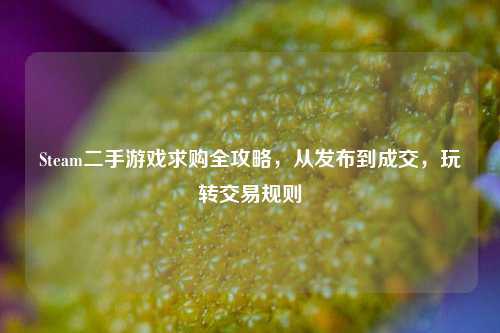 Steam二手游戏求购全攻略,从发布到成交,玩转交易规则